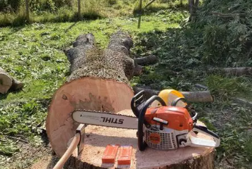 Skjermbilde 2026-09-24 121757.png