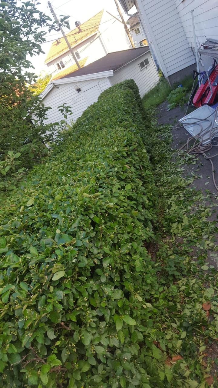 LUCY ECO-UTEMILJØ WELESAMIEL