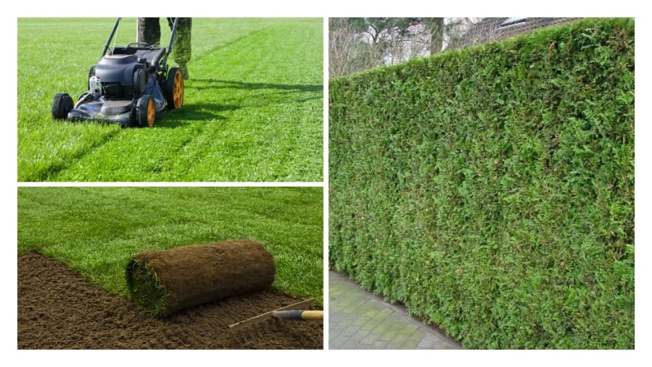 LUCY ECO-UTEMILJØ WELESAMIEL – bilde 2