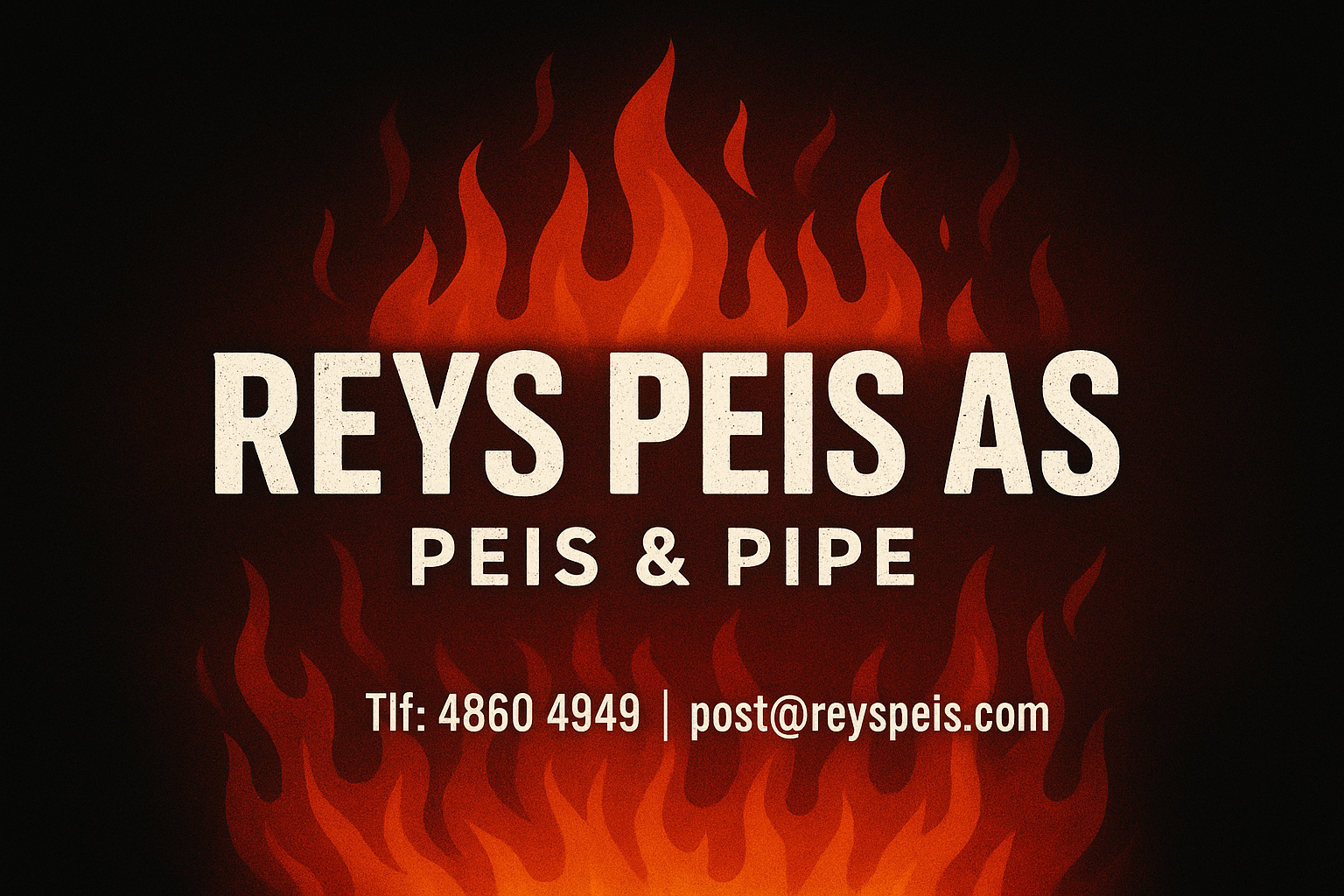REYS PEIS logo