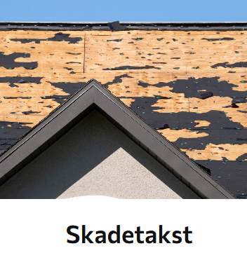 MURMESTER HANS KR VANGEN – bilde 5