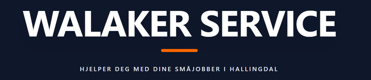 WALAKER SERVICE logo