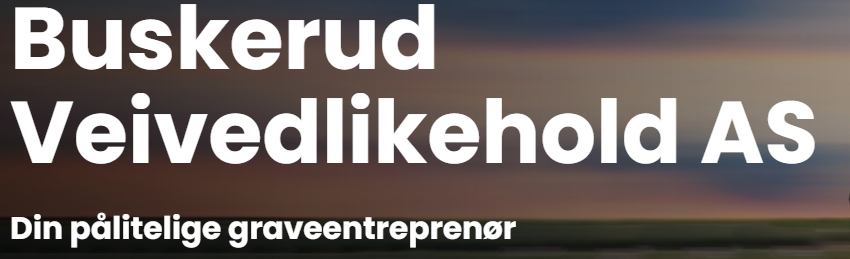 BUSKERUD VEIVEDLIKEHOLD AS logo